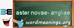 WordMeaning blackboard for aster novae-angliae